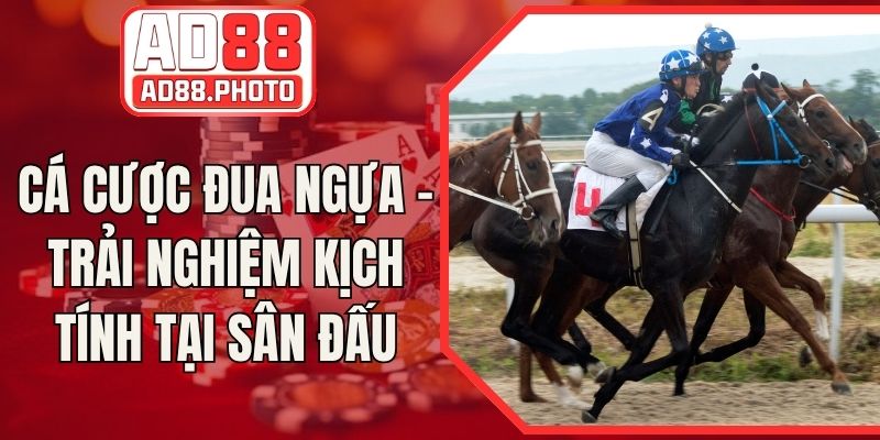 Cá Cược Đua Ngựa - Trải Nghiệm Kịch Tính Tại Sân Đấu