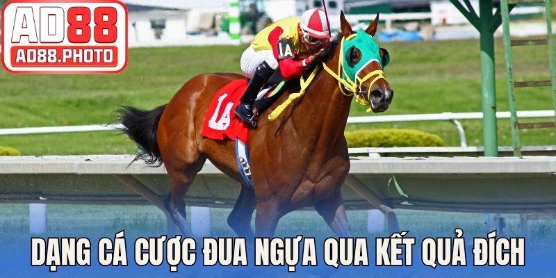 Dạng cá cược đua ngựa thông qua kết quả đích