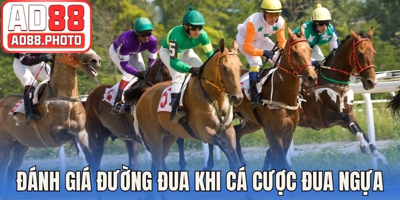 Chiến thuật đánh giá đường đua khi cá cược đua ngựa
