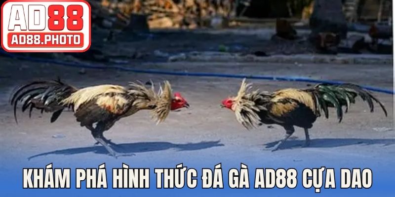 Khám phá hình thức đá gà AD88 bằng cựa dao